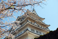 亥鼻公園（千葉城）の桜の写真