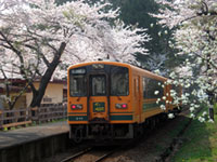津軽鉄道の桜の写真