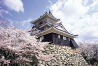 浜松城の桜の写真