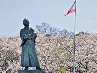 風頭公園の桜の写真