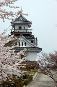 牛伏山自然公園の桜の写真