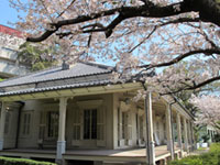 東山手十二番館の桜の写真