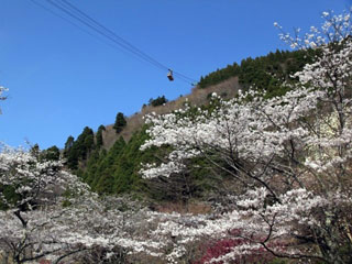 鶴見岳の写真３