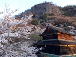 岩殿山丸山公園の桜写真１
