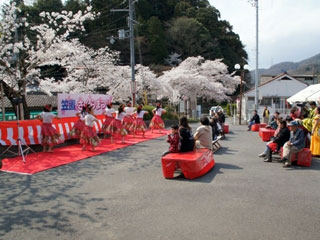 京都府立笠置山自然公園の桜写真２