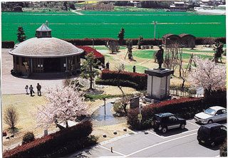 平田公園と大榑川桜並木写真１