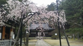 弘川寺の写真３