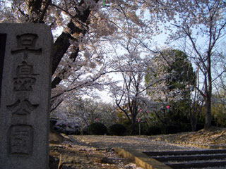 早島公園の桜写真２