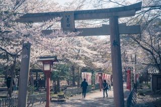 大寧寺の写真３