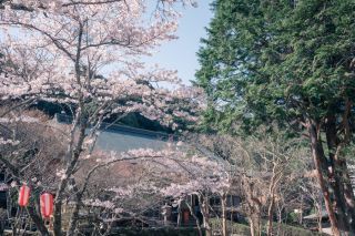 大寧寺の写真４