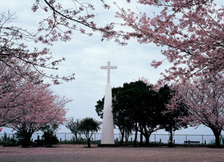 原城跡の桜写真１
