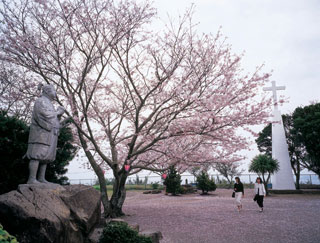 原城跡の桜写真２