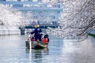 お江戸深川さくらまつり写真１