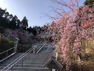 呑山観音寺の写真３