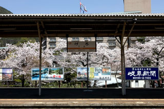 下呂駅周辺の桜写真２