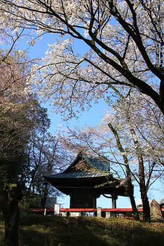 狭山八幡神社の写真３