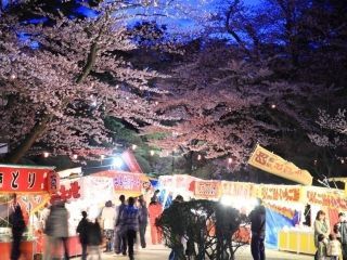 千秋公園の桜写真２