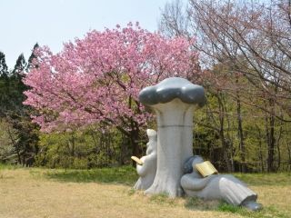 日本国花苑の桜写真２