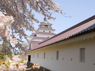 鶴ヶ城公園の桜写真２