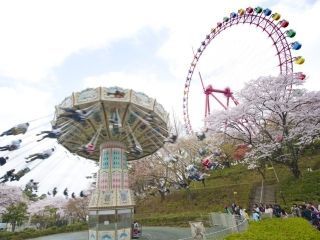 西武園ゆうえんちの桜写真２