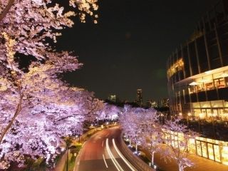 東京ミッドタウンの写真３