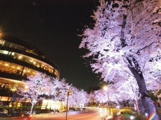 東京ミッドタウンの写真４