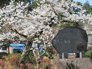 村松公園の写真３