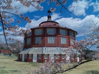 清春芸術村の桜写真１