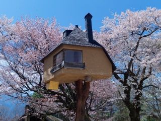 清春芸術村の桜写真２