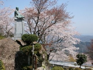 粟ヶ岳の桜写真２