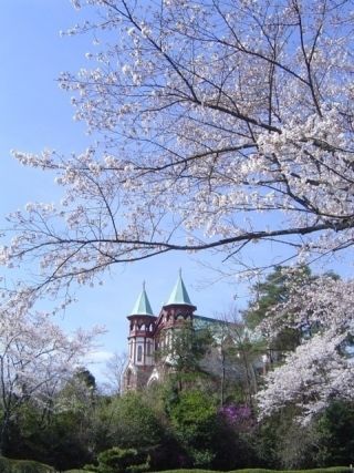 博物館 明治村の桜写真１
