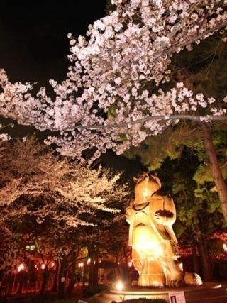 大山緑地の千本桜の写真３