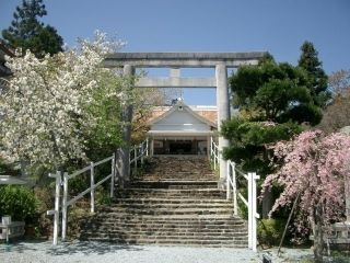 樋の山の桜写真１