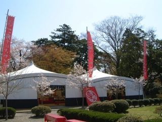 彦根城の桜写真２