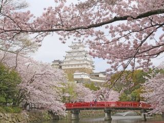 姫路城の写真４