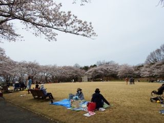 県立播磨中央公園の写真３