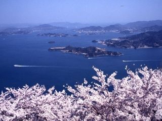 筆影山の桜写真２