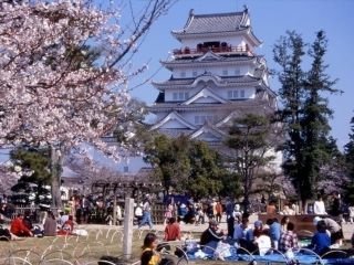福山城公園の桜写真２