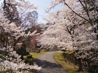 神ノ倉山公園の写真４