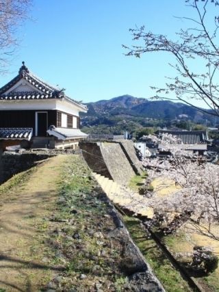 臼杵城跡の桜写真２