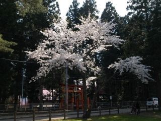 舘野公園の写真３