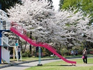 国史跡三戸城跡城山公園の写真３