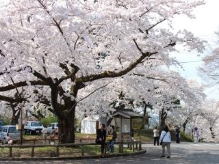 国史跡三戸城跡城山公園の写真４