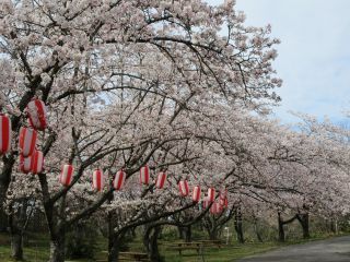 国立能登青少年交流の家 桜の森写真２