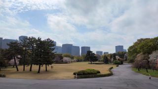 皇居東御苑の桜写真２