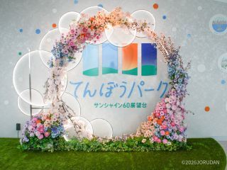 てんぼうパーク さくらまつり写真1