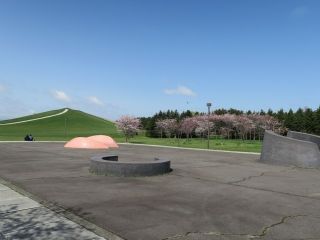 モエレ沼公園の桜写真2