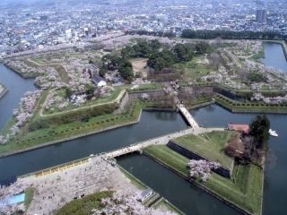 五稜郭公園の桜写真２