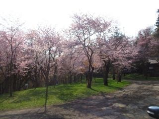 旭山公園の写真３