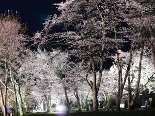 旭山公園の写真４